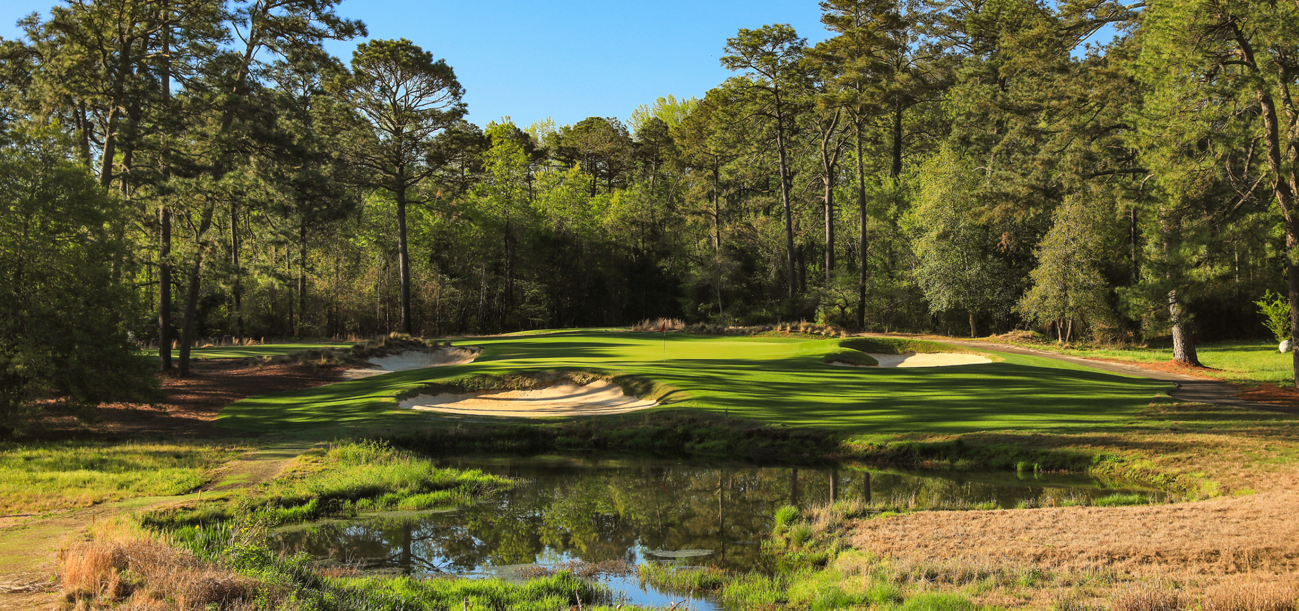 A lush golf course surrounded by tall trees under a clear blue sky. The scene includes a sand trap on the left, a pond reflecting the greenery, and manicured grass leading up to the course's gently sloping hills.